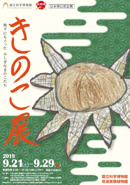 きのこ展～地下にもぐったふしぎなきのこたち～