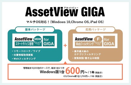 AssetView GIGA