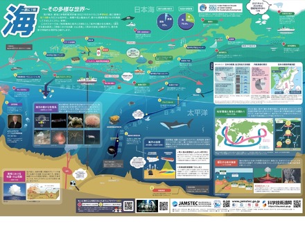 「一家に1枚 海～その多様な世界～」ポスター