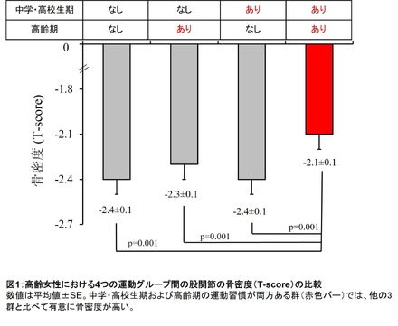 高齢女性における4つの運動グループ間の股関節の骨密度の比較