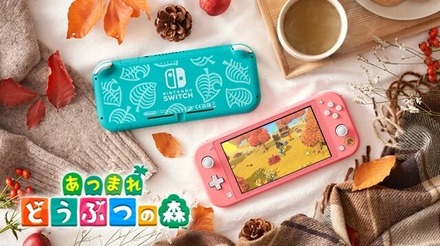 nintendo switch Lite グレー　あつ森ダウンロード版入り