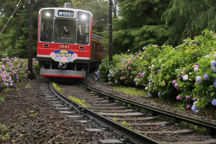 事業例：箱根登山鉄道