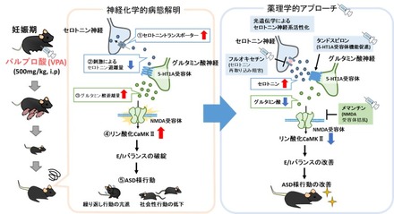 研究手法・研究成果