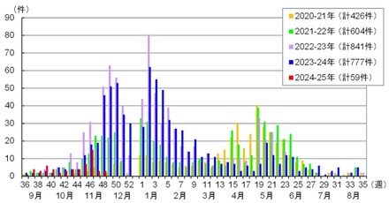 都内における感染性胃腸炎の集団感染事例報告件数（2024年第48週まで）