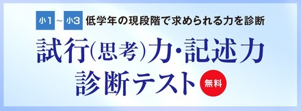 試行（思考）力・記述力 診断テスト