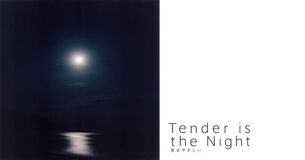 プラネタリウム作品「夜はやさしい」