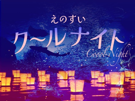 えのすいクールナイト