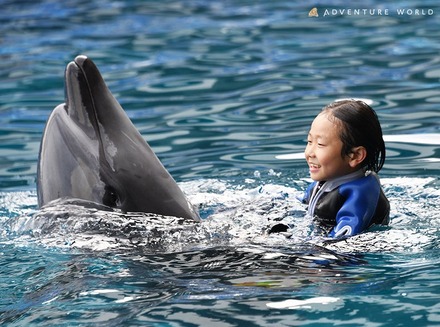 「Swimming with Dolphin～Deep emotion～」のようす