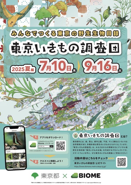 東京いきもの調査団 2025夏編 チラシ