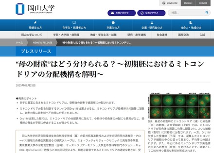 岡山大学「初期胚におけるミトコンドリアの分配機構を解明」