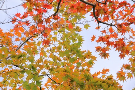 ※画像はイメージです