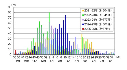 都内における感染性胃腸炎の集団感染事例報告件数（2025年第46週まで）