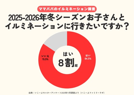 2025～2026年の冬シーズンに子供と家族でイルミネーションに行ってみたいか？
