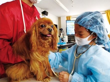 獣医さん体験スクール