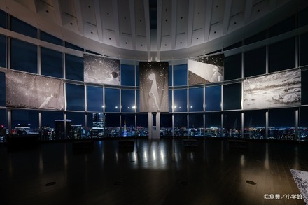 会場エントランス（夜景）