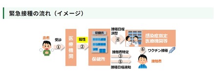 緊急接種の流れ(イメージ)