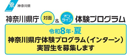 令和8年・夏 神奈川県庁体験プログラム（インターン）