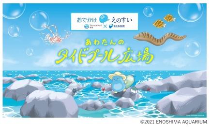 出張水族館「おでかけえのすい」(c)ENOSHIMA AQUARIUM