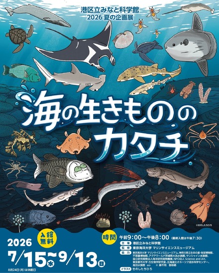 2026 夏の企画展 海の生きもののカタチ