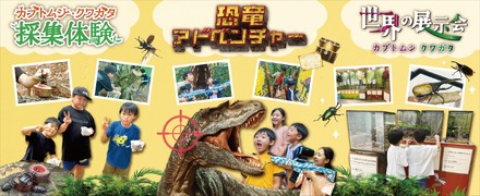 カブトムシ・クワガタイベントなど