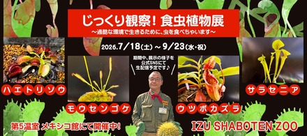 「じっくり観察!食虫植物展」