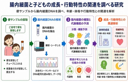 腸内細菌と子供の成長・行動特性の関連を調べる研究