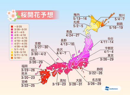 全国の桜開花予想