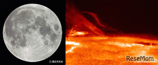 「月と太陽展」イメージ写真