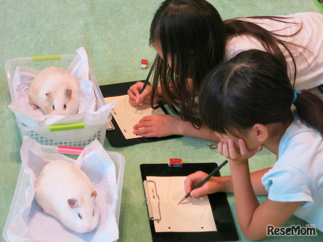 じっくり動物観察（上野動物園）