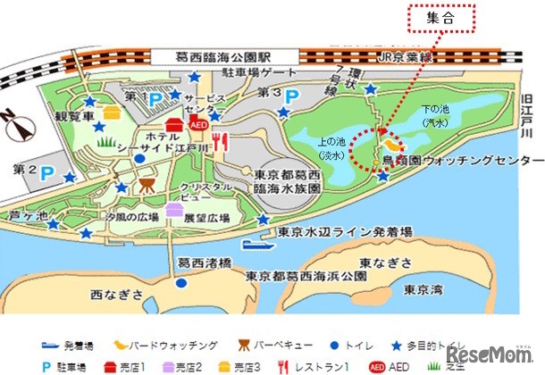 葛西臨海公園　鳥類園