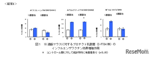 16週齢マウスに対するプロテクト乳酸菌のインフルエンザワクチン効果増強作用