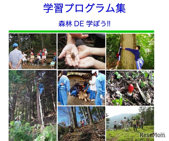 学習プログラム集森林DE学ぼう