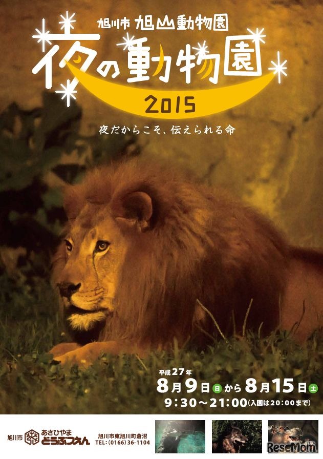 旭山動物園「夜の動物園」