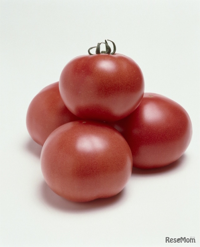 ”おいしいトマト”の代名詞だという「桃太郎」トマト