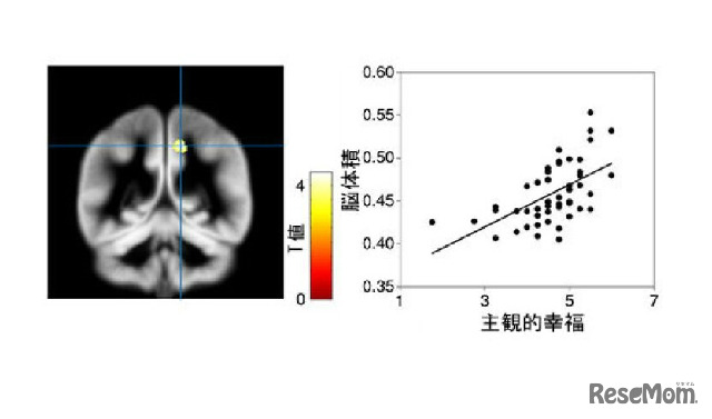 脳体積と主観的幸福の散布図