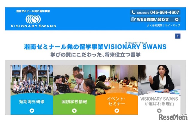 VISIONARY SWANS