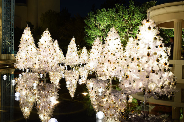 庭園「リリーポンド・ガーデン」/イクスピアリ・クリスマスタウン