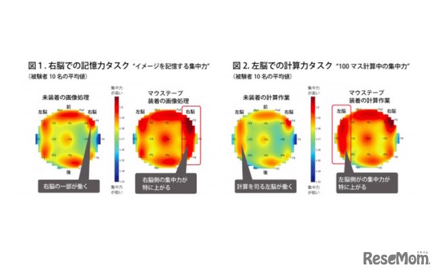 右脳と左脳の集中力に関する脳波の状態