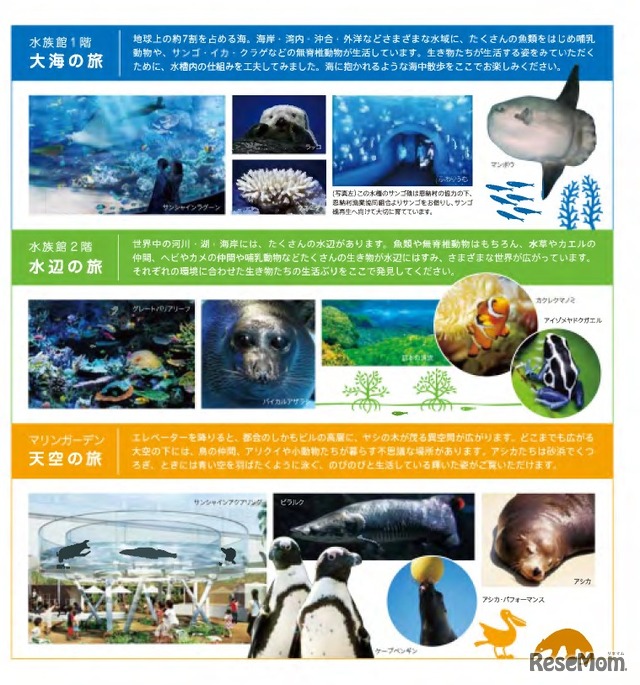 サンシャイン水族館