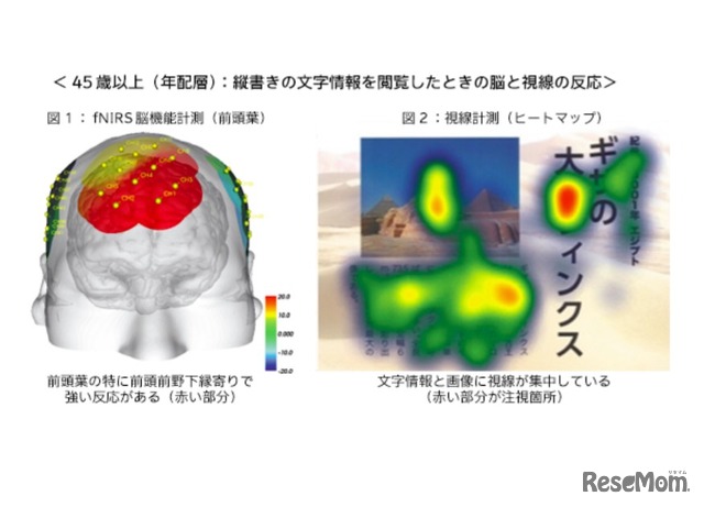 年配層：縦書きの文字情報を閲覧した時の脳と視線の反応