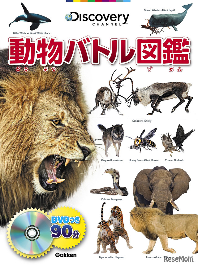 学研プラス　動物バトル図鑑 DVD付き