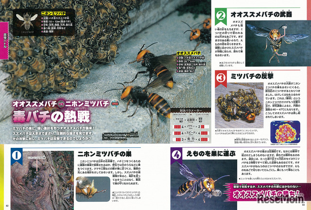 実際に起こりうる生き物の戦いをシミュレーションしながら解説。生き物がもつ危険な武器や思いもよらないかしこい戦い方がわかる