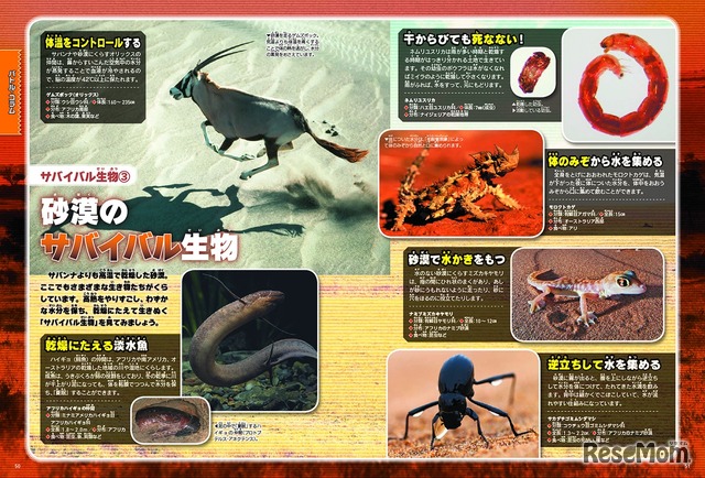 生き物の「強さ」を、捕食・防御方法、生存能力といった、さまざまな観点から幅広く紹介する