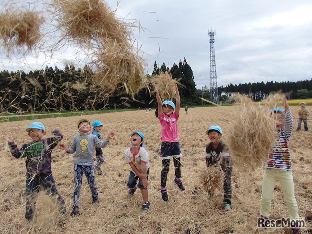 秋田の自然にふれるツアーも