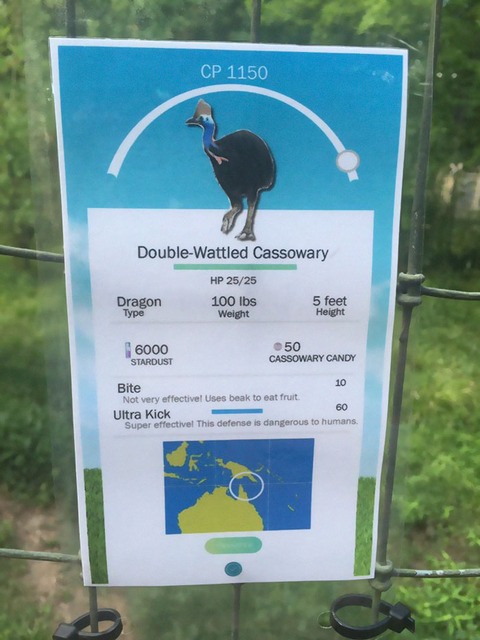 米動物園、実際の動物に『ポケモンGO』風のユニークな説明看板を作成