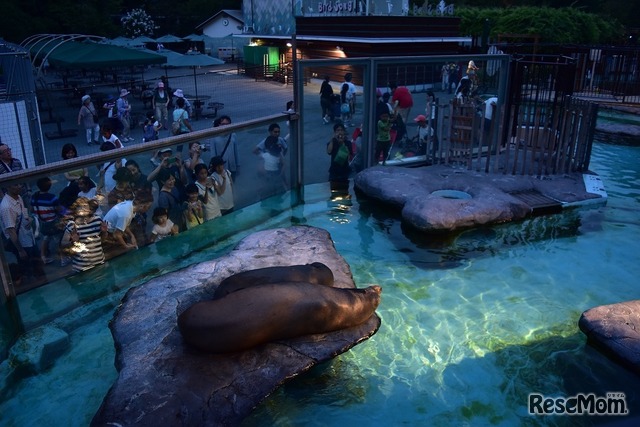 上野動物園「アシカ・アザラシ」　(c) 公益財団法人東京動物園協会