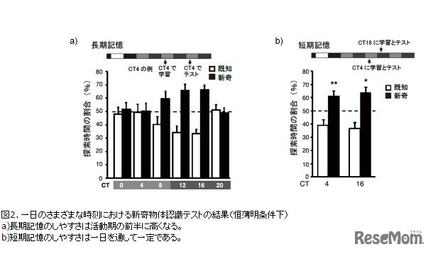 長期記憶のしやすさは活動期の前半に高くなる