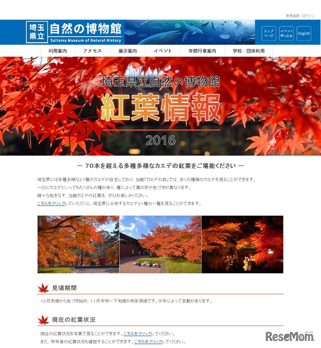 紅葉情報2016　埼玉県立自然の博物館