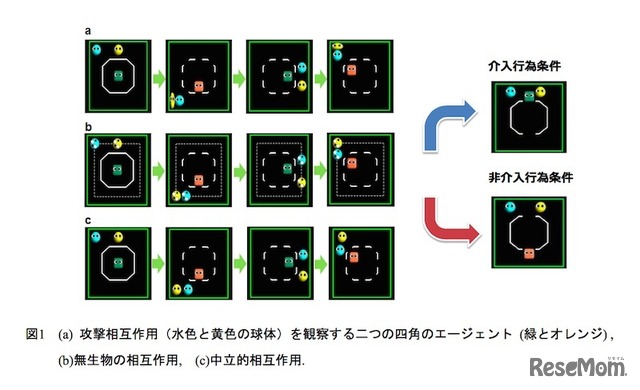 乳児を対象に行われた実験