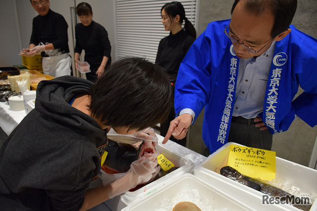 「第5回さいえんす寿司BAR」ヨシキリザメの歯について説明をする伊藤教授
